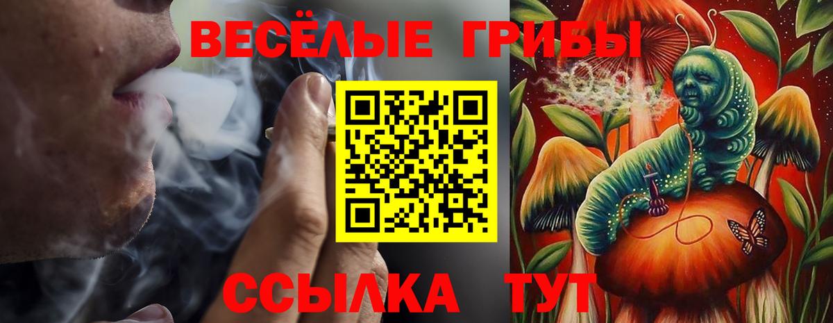 Псилоцибиновые грибы ЛСД  Псилоцибиновые грибы мухоморы  Вход с VPN  Рассказово 